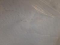 WhatsApp Image 2025-01-30 at 08.45.05